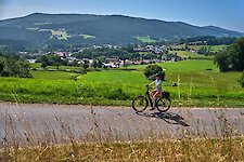 Radfarhen am Zellertalradweg zwischen Oberried und Drachselsried.